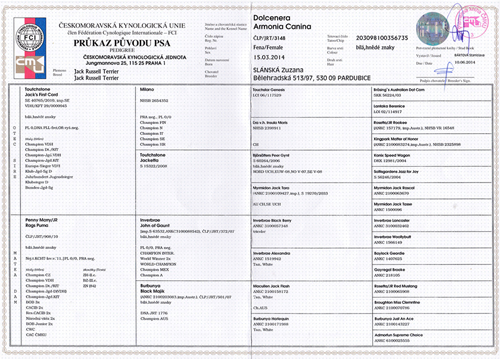 Pedigree of Dolcenera Armonia Canina bred by Zuzana Slanska in the Czech republic