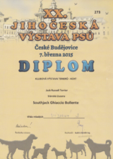 Diplom z klubové výstavy