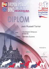 Diplom z Evropské výstavy v Brně