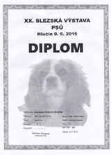 Diplom z Klubové výstavy v Hlučíně