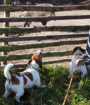 They would like to go inside